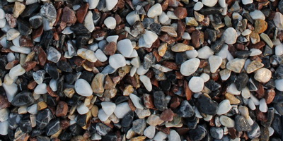 MIX-raznocvetniy 10-20
